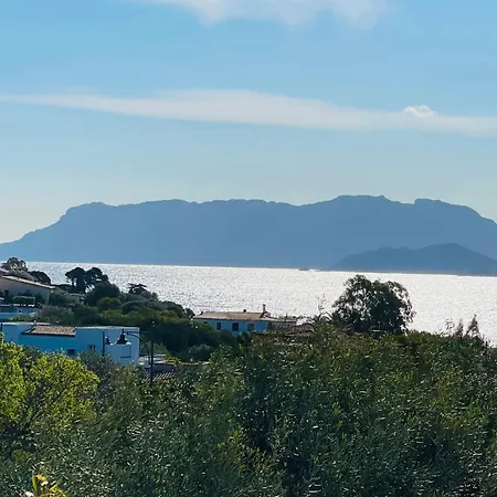 Boutique Art W9 * אולביה