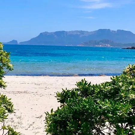 Boutique Art W9 Hébergement de vacances