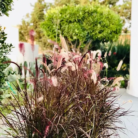 Boutique Art W9 Hébergement de vacances Olbia