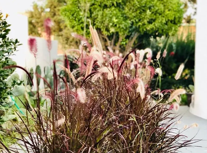 Boutique Art W9 Vakantiehuis Olbia